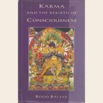 Karma and the Rebirth of Consciousness