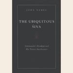 The Ubiquitous Siva