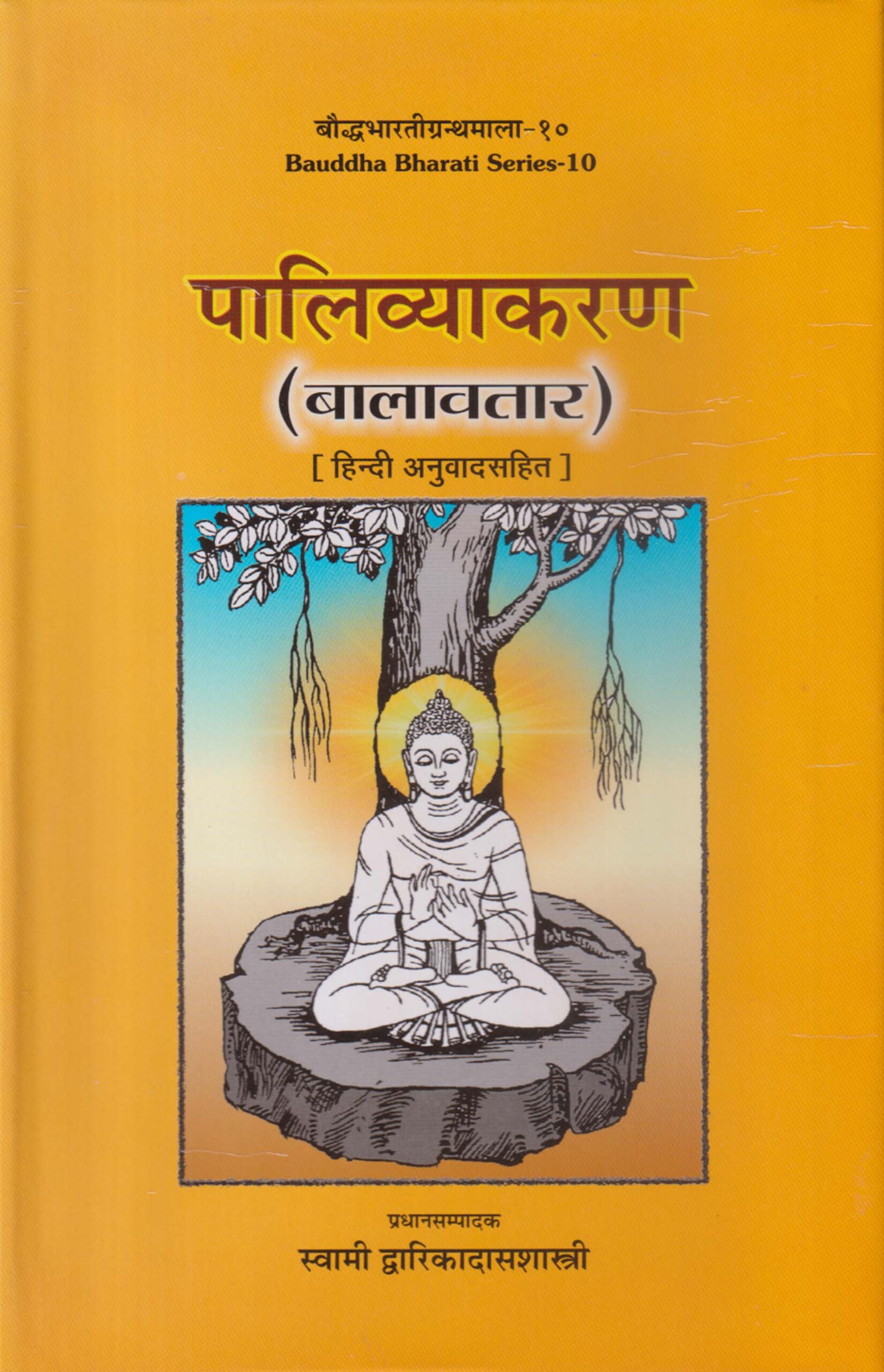 Pali Vyakaran पालिव्याकरण (बालावतार) (हिन्दी अनुवाद सहित ), Pali Grammar (Balavatara) of Bhikkhu Dharmakitti with Hindi Translation - Image 1